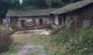 重庆市可以跨区申请公租房吗 重庆渝北房屋出租