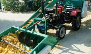 玉米脱粒机的研究意义 自动上料玉米脱粒机