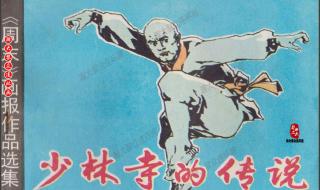 少林寺传奇介绍 少林寺传奇片头曲